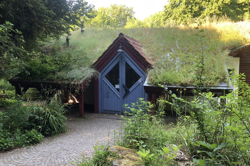 Ein eingeschossiges Haus mit Spitzdach. Das Dach reicht weit zum Boden hinunter und ist mit einer Wiese bepflanzt. In der Mitte ist en Spitzgiebel, in den einem zweiflüglige Holztür eingebaut ist. zu der Tür führt ein Weg aus Kopfsteinpflaster. Neben dem Weg sind Beete angelegt. Hinter und neben dem Haus stehen Laubbäume.