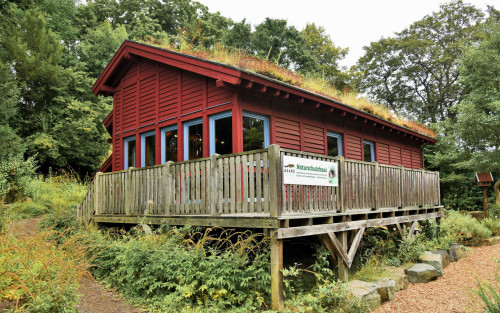 Ein Holzhaus im schwedischen Stil mit begrünten Dach, inmitten von Bäumen