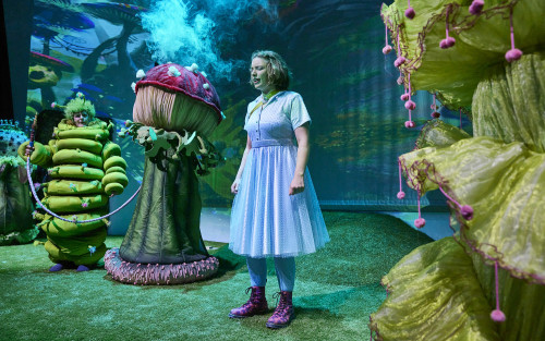 Eine Szenen aus Alice im Wunderland auf der Theaterbühne. Alice steht im Vordergrund und hat die Augen geschlossen. Im Hintergrund eine als Raupe verkleidete Person. Diese Person hält das Mundstück zu dem rauchenden Fliegenpilz neben ihr, in der Hand.